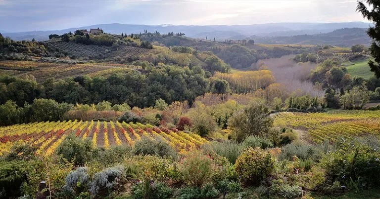 Slow Life in Tuscany
