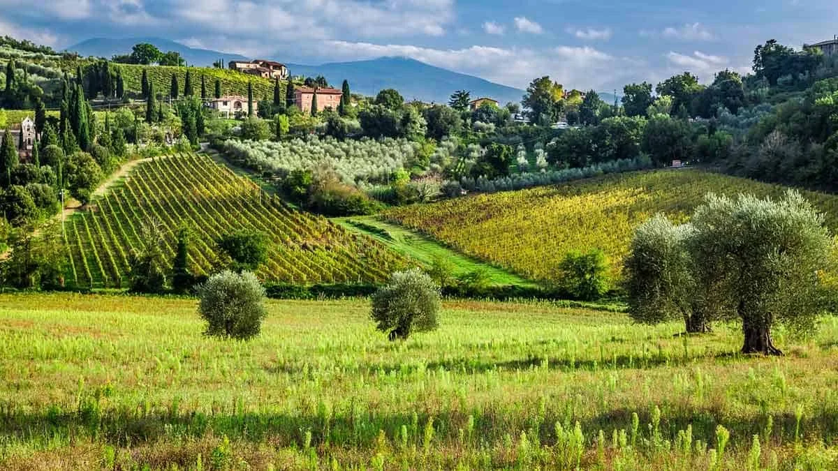 Plan a Week in Tuscany Without a Tour Operator