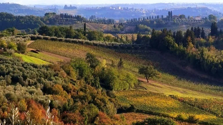 Chianti Wine Olive Oil Day