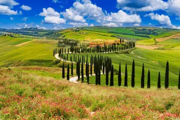 Scenic tour through Tuscany
